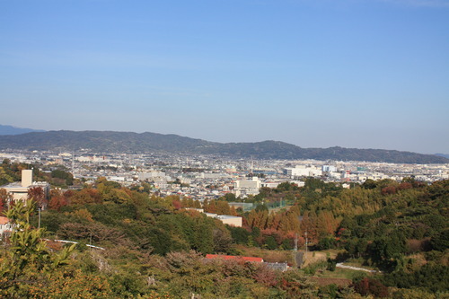 ���ĸ����Ķ� (98)