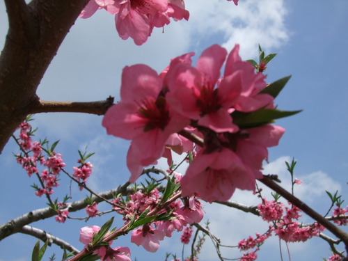 2007_0509¿®½£0119