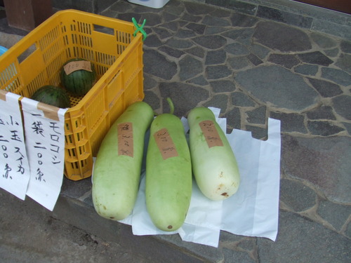 2006_0808�򺬻�0012