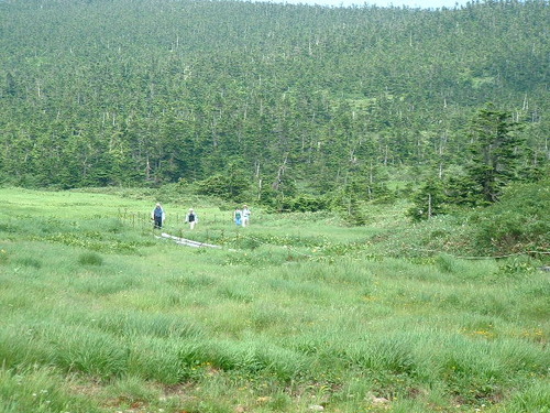 DSCF0024