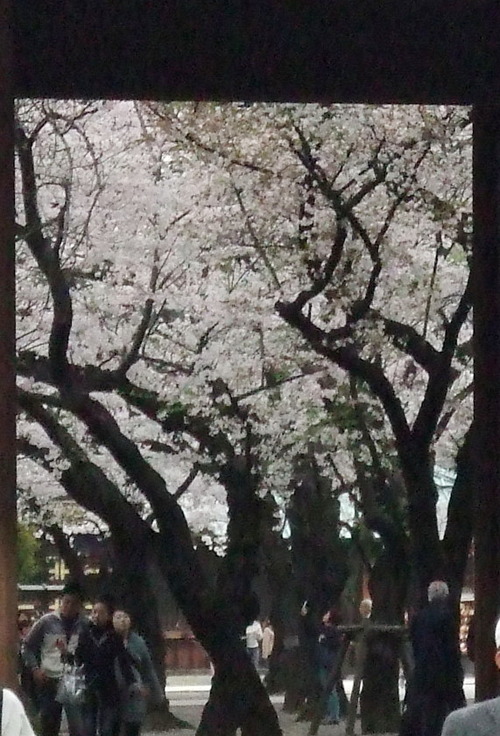 2008_0402H19��0149