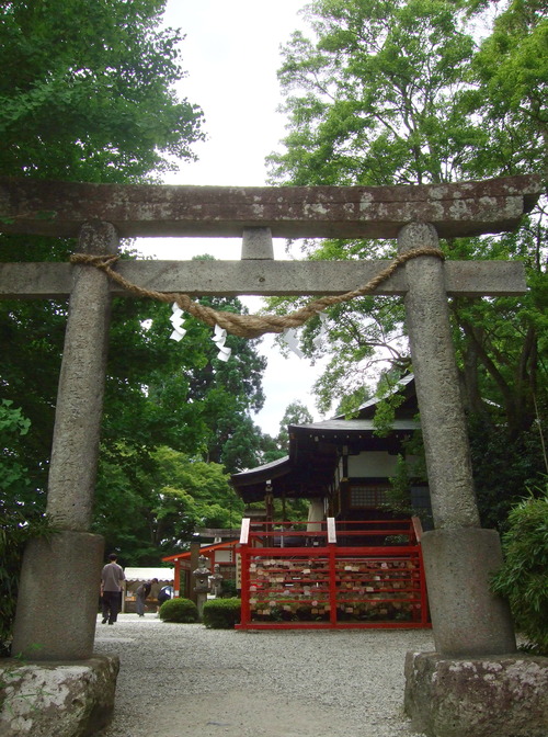 DSCF0610