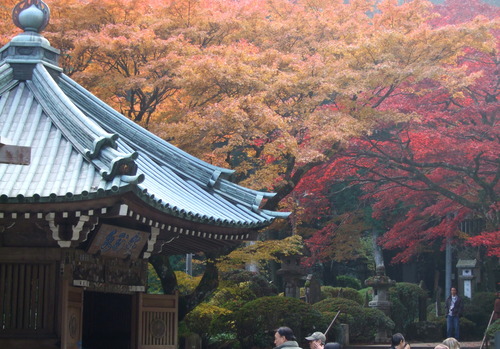 2007_1202¹ä»Ë¾»»Òº§Ìó0076