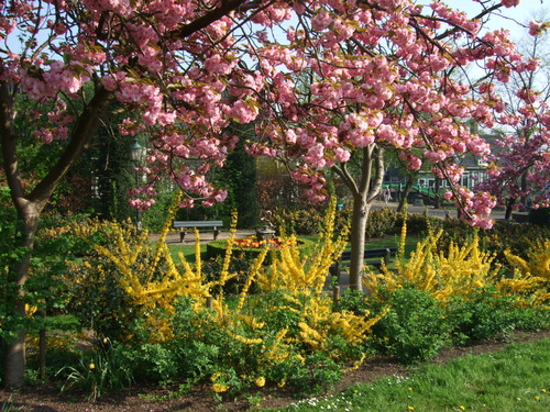 2007_0417オランダ0746