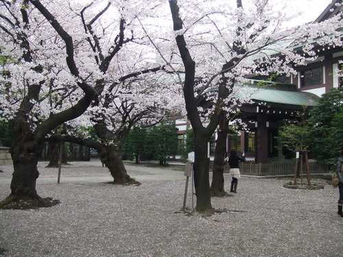 2008_0402H19��0154