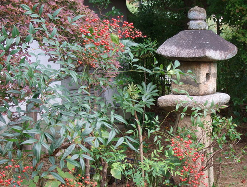 2007_1103¾®Åĸ¶ÈͶ10028