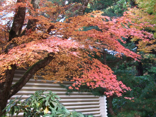 2007_1202¹ä»Ë¾»»Òº§Ìó0073