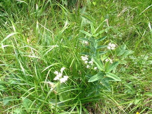 DSCF0029