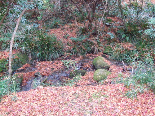 2006_1209ÈÕ½©¤ÎÈ¢º¬0017