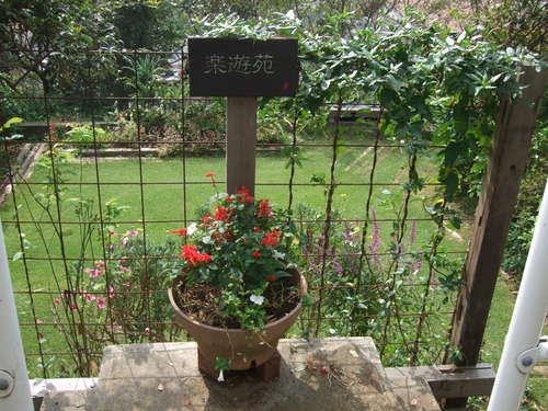 2011_1011¾ÅÆîÊ¿0017