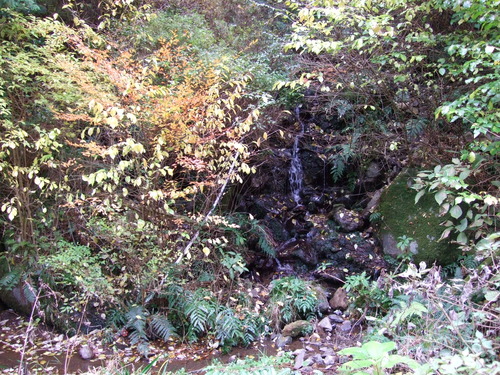 2007_1202¹ä»Ë¾»»Òº§Ìó0039