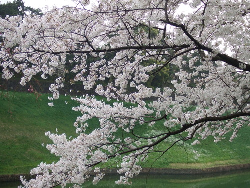 2008_0402H19��0081