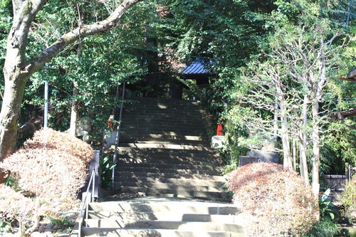 ���ĸ����Ķ� (2)