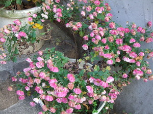 2010_1201���β�0003