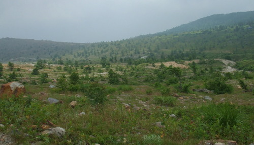 2006_0808�򺬻�0032