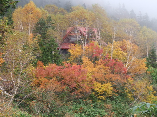 2007_1017��������0124