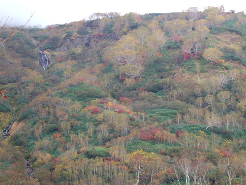 2007_1017��������0139