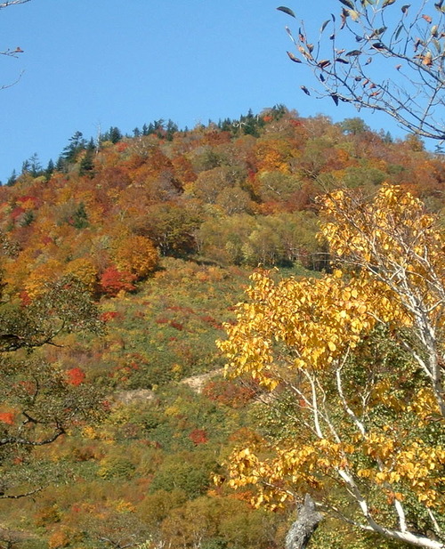 DSCF0024