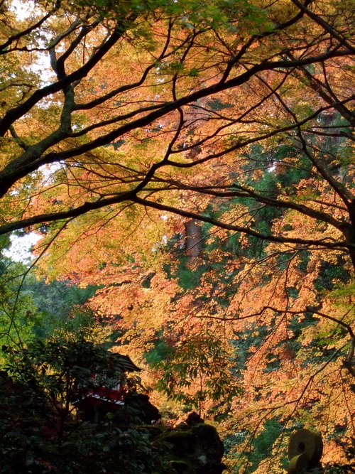 2007_1202¹ä»Ë¾»»Òº§Ìó0085