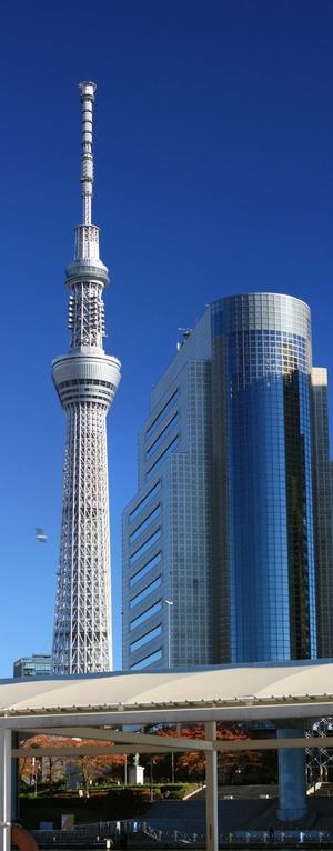 ����᤯�Υ������ĥ꡼