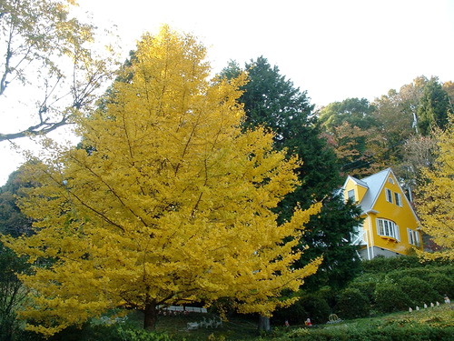 2007_1202Ƴλºµ¢¤êGH0020