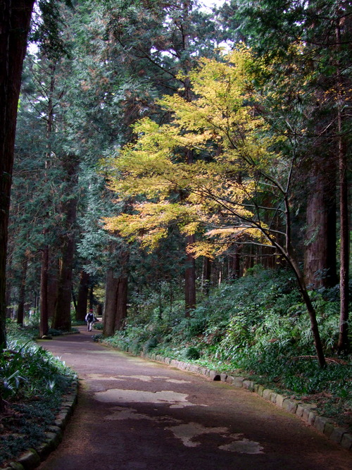 2007_1202¹ä»Ë¾»»Òº§Ìó0050