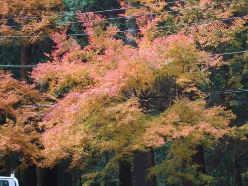 2007_1202¹ä»Ë¾»»Òº§Ìó0054