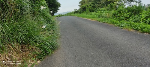 IMG_20200819_171026