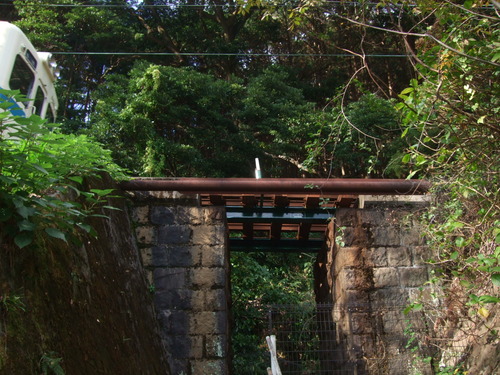 2011_1116³ûµÜ¡ÁÅòËÜ0208