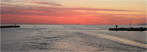 IMG_8794P