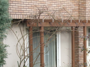 2012_0119�Ĥ�Х�����Ѥ�0005