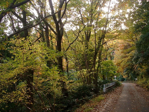 2007_1202Ƴλºµ¢¤êGH0004