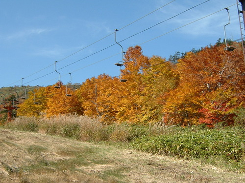 DSCF0048