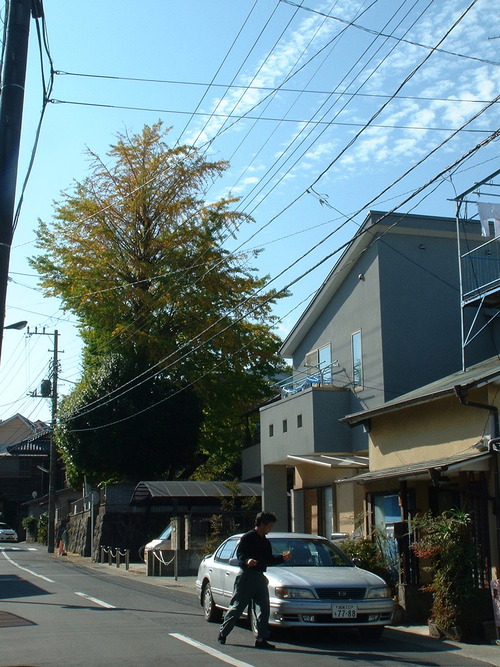 2007_1004¾®Åĸ¶ÈͶ£²0039