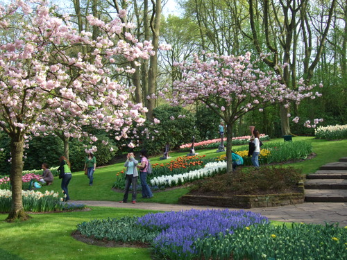 2007_0417オランダ0634