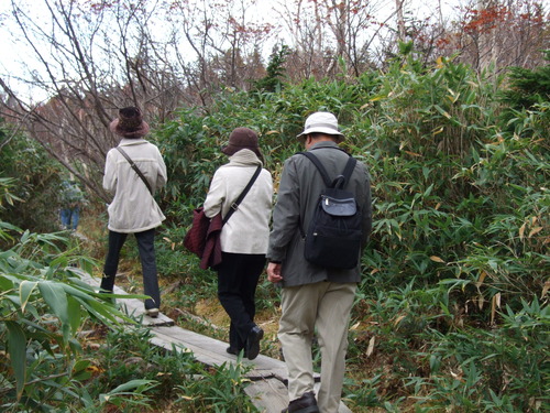 2007_1017��������0137