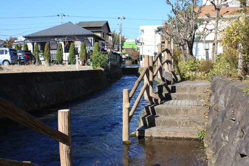 ���ĸ����Ķ� (36)