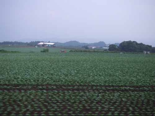 2006_0808�򺬻�0068