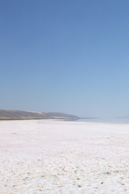 2006_0619ȥ륳10315-1