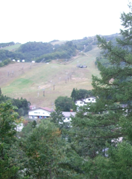 2007_1017��������0088