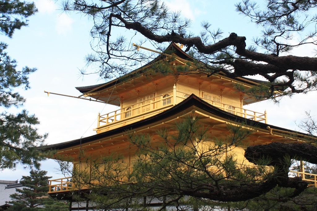 京都ー２７ 金閣寺 花咲かすおじさん