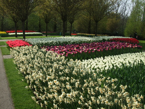 2007_0417オランダ0624