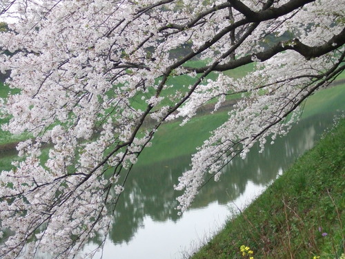 2008_0402H19��0088