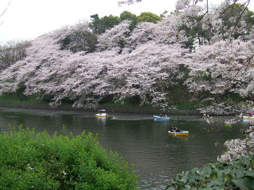 2008_0402H19��0109