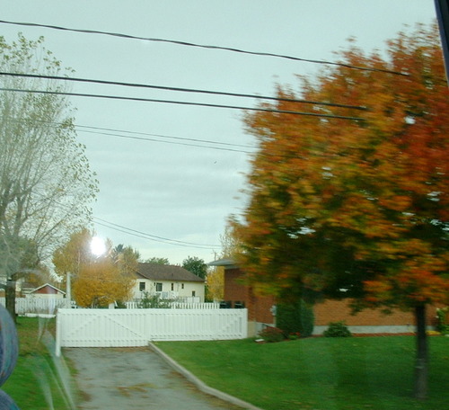 2005_1020첽ٻΥե०0013