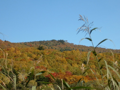 DSCF0018