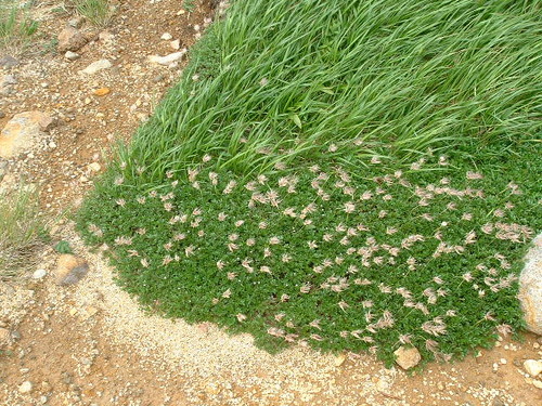 DSCF0034