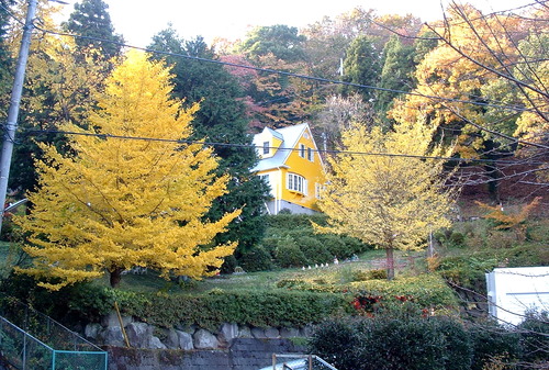 2007_1202Ƴλºµ¢¤êGH0022