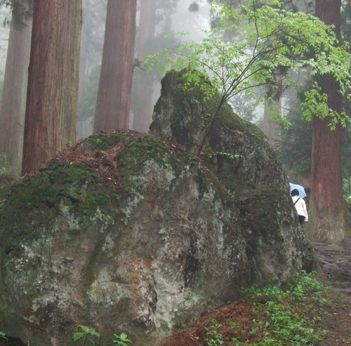 2007_0509¿®½£0030