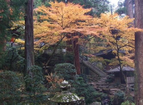 2007_1202¹ä»Ë¾»»Òº§Ìó0081